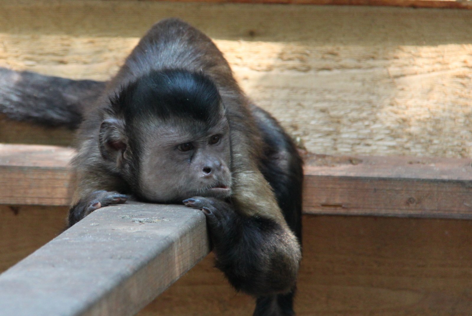 Familiepark Harry Malter