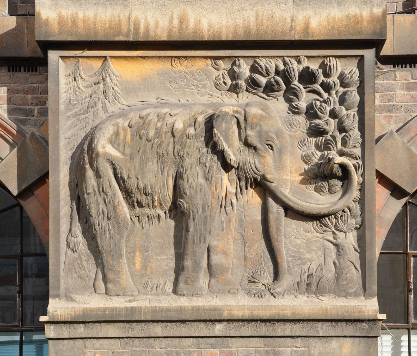 Sedgwick Museum of Earth Sciences