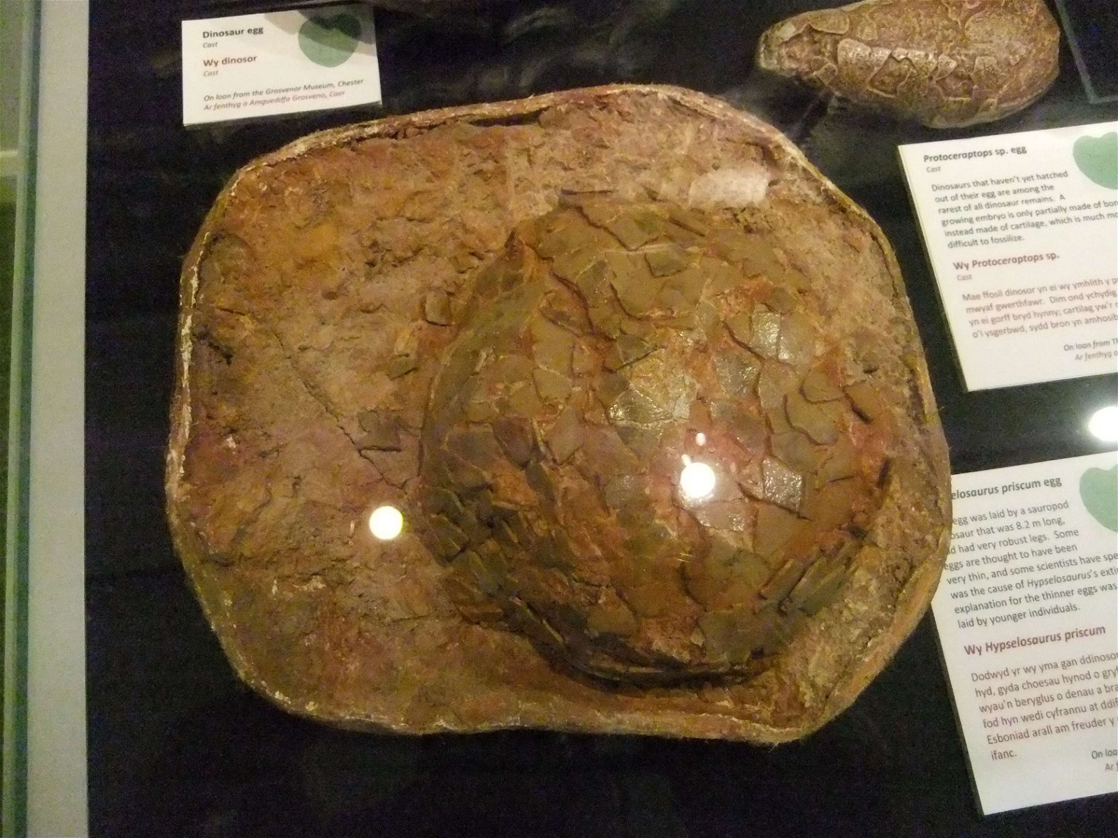 Wrexham County Borough Museum and Archives