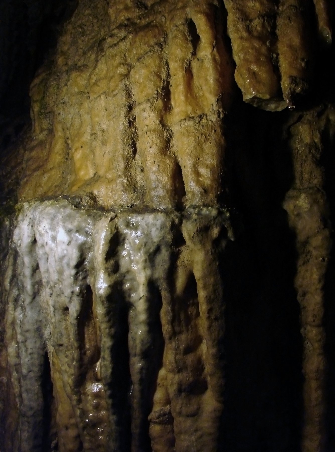 Grot in Han-sur-Lesse - Domein van de Grotten van Han