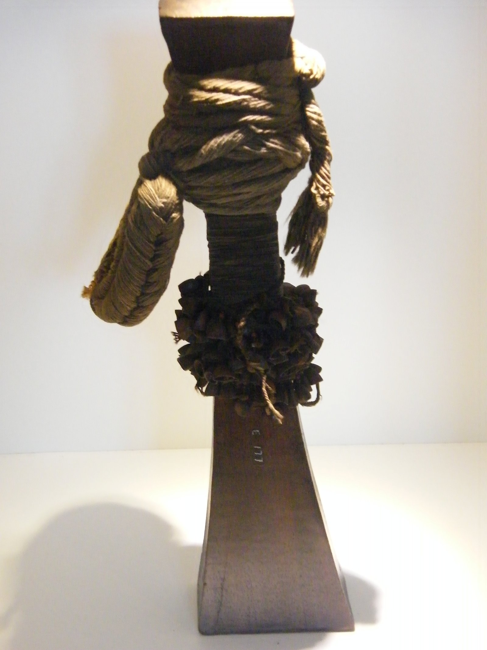 The Hunterian Museum and Art Gallery