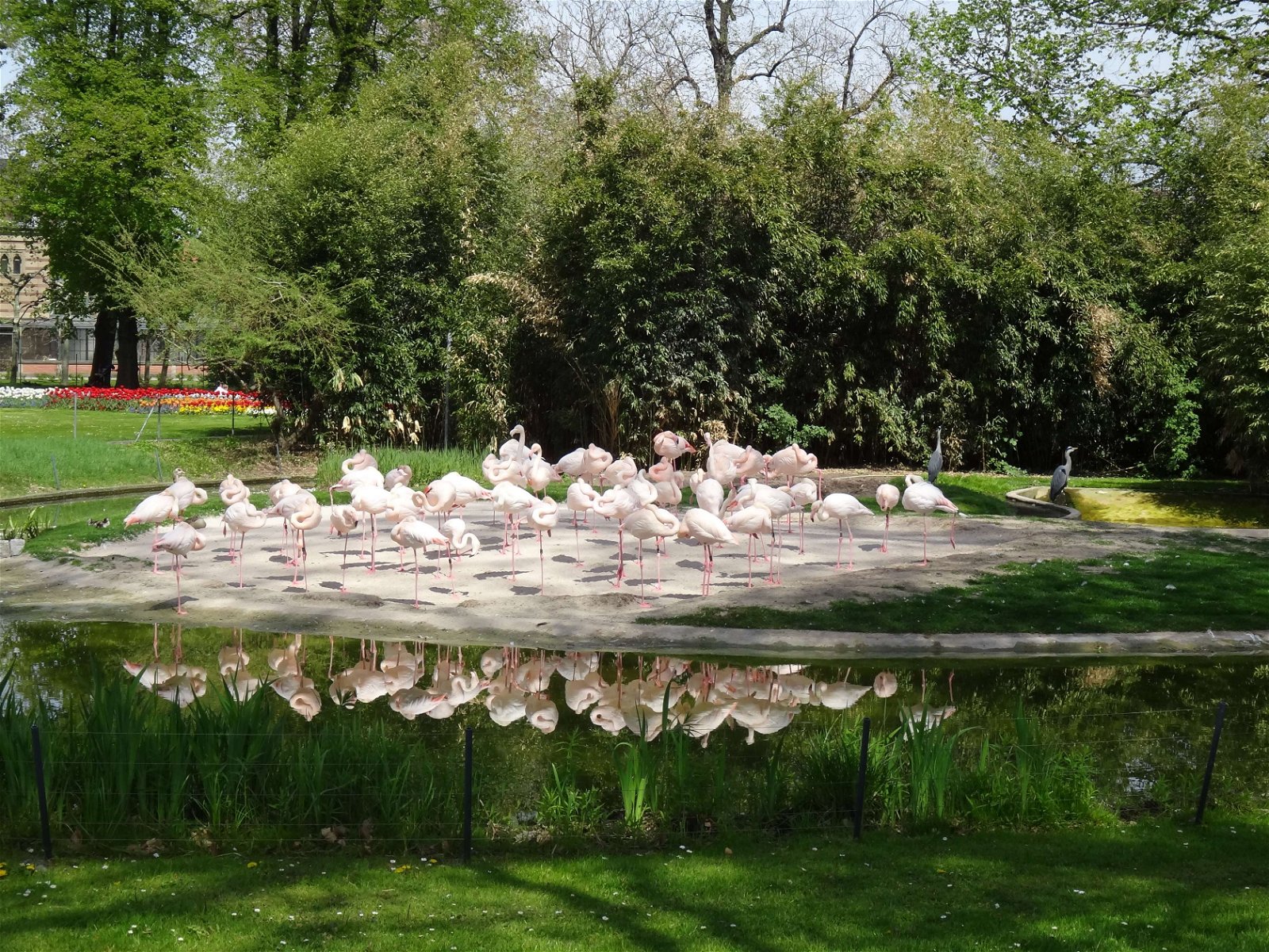 Wilhelma Zoologisch-Botanischer Garten
