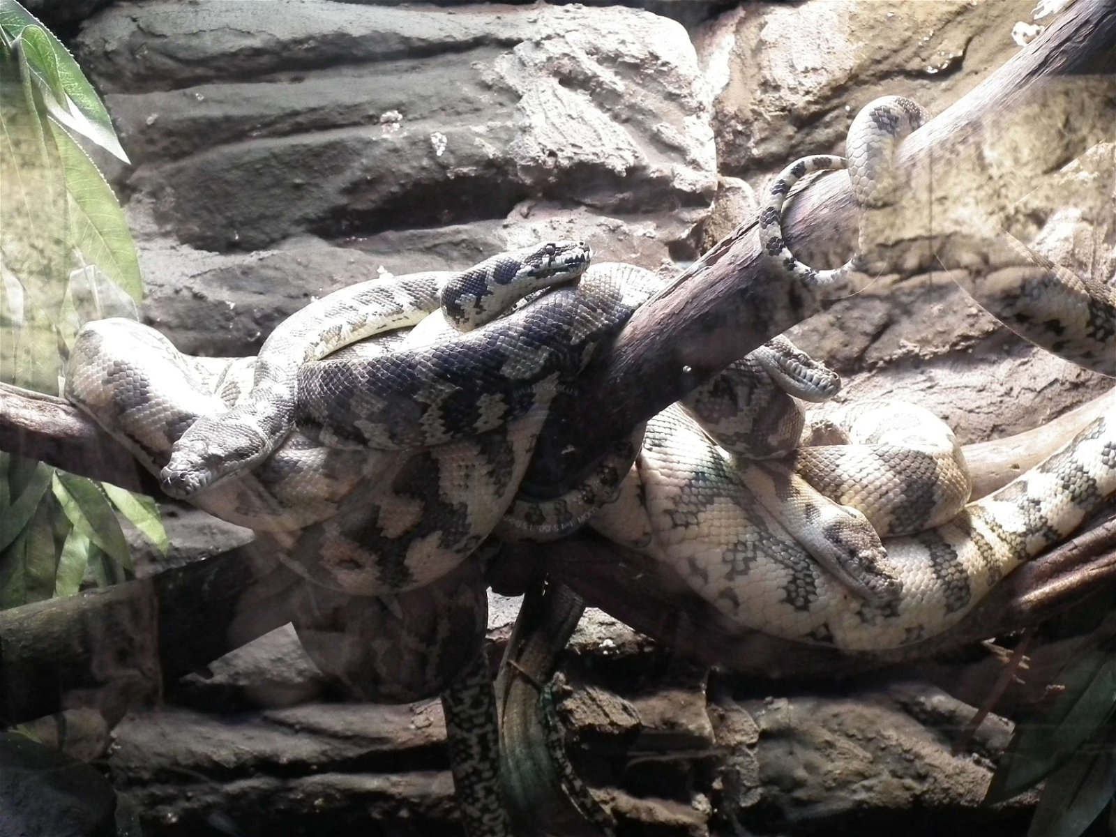 Aquarium and Museum of Natural History in Krakow