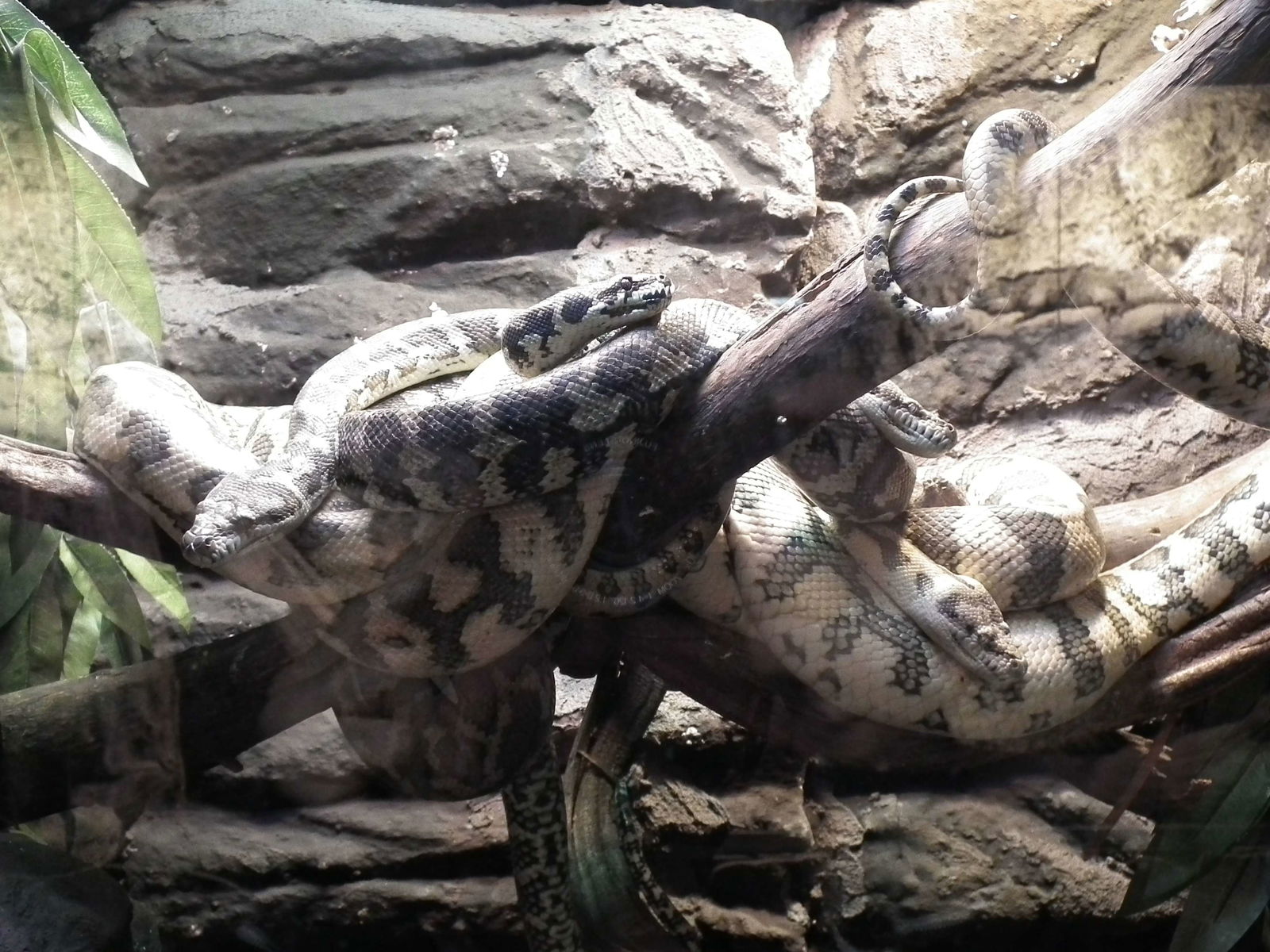 Aquarium and Museum of Natural History in Krakow