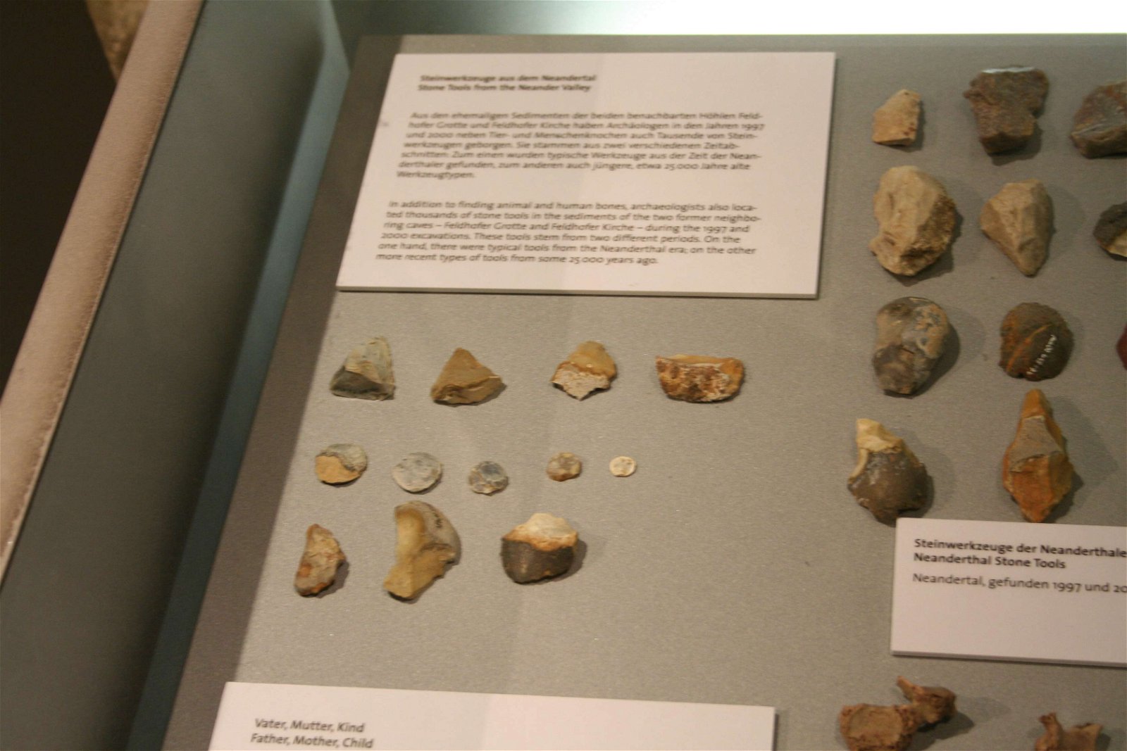 Neanderthal Museum