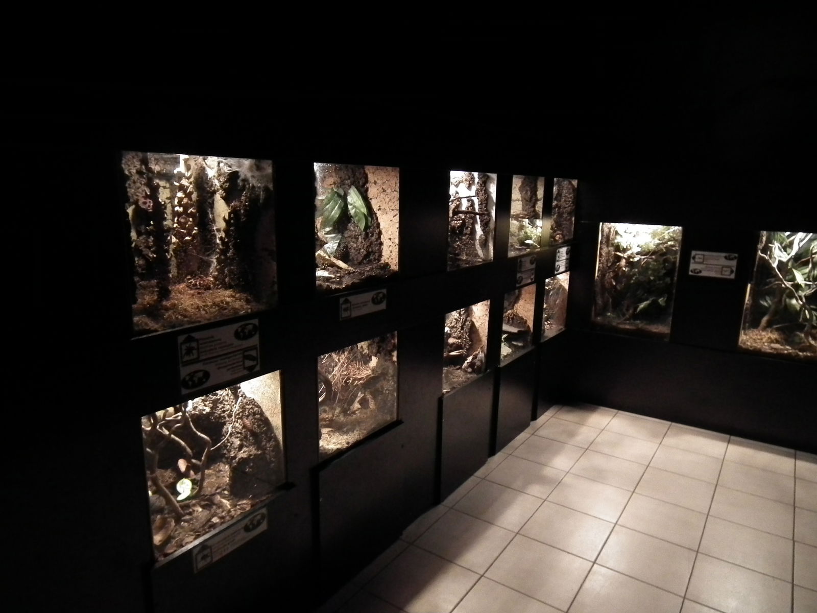 Aquarium and Museum of Natural History in Krakow