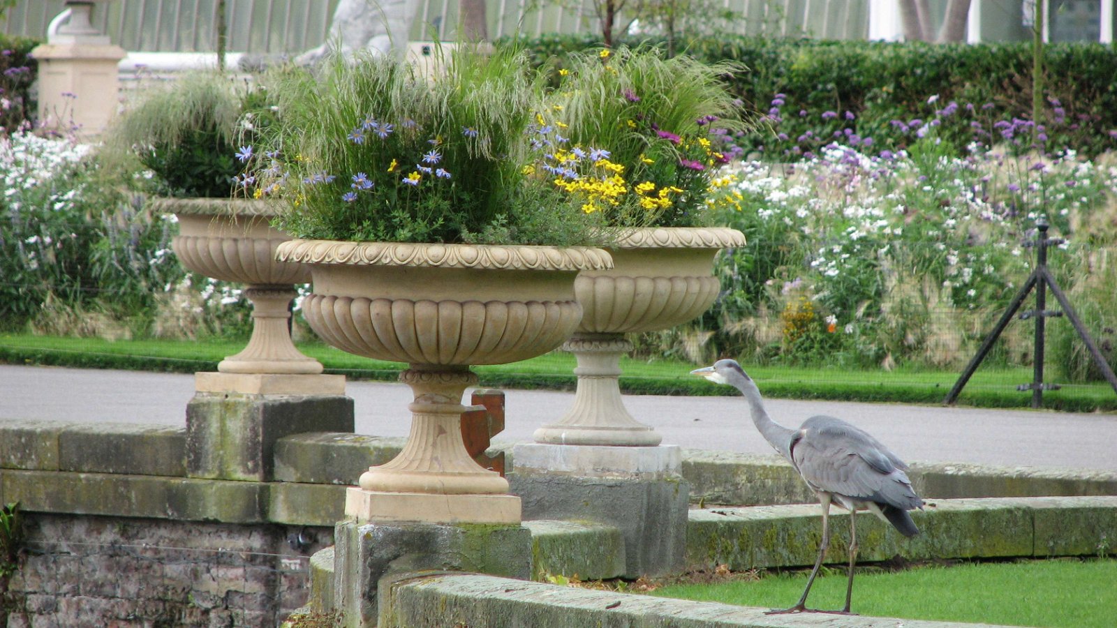 Royal Botanic Gardens, Kew