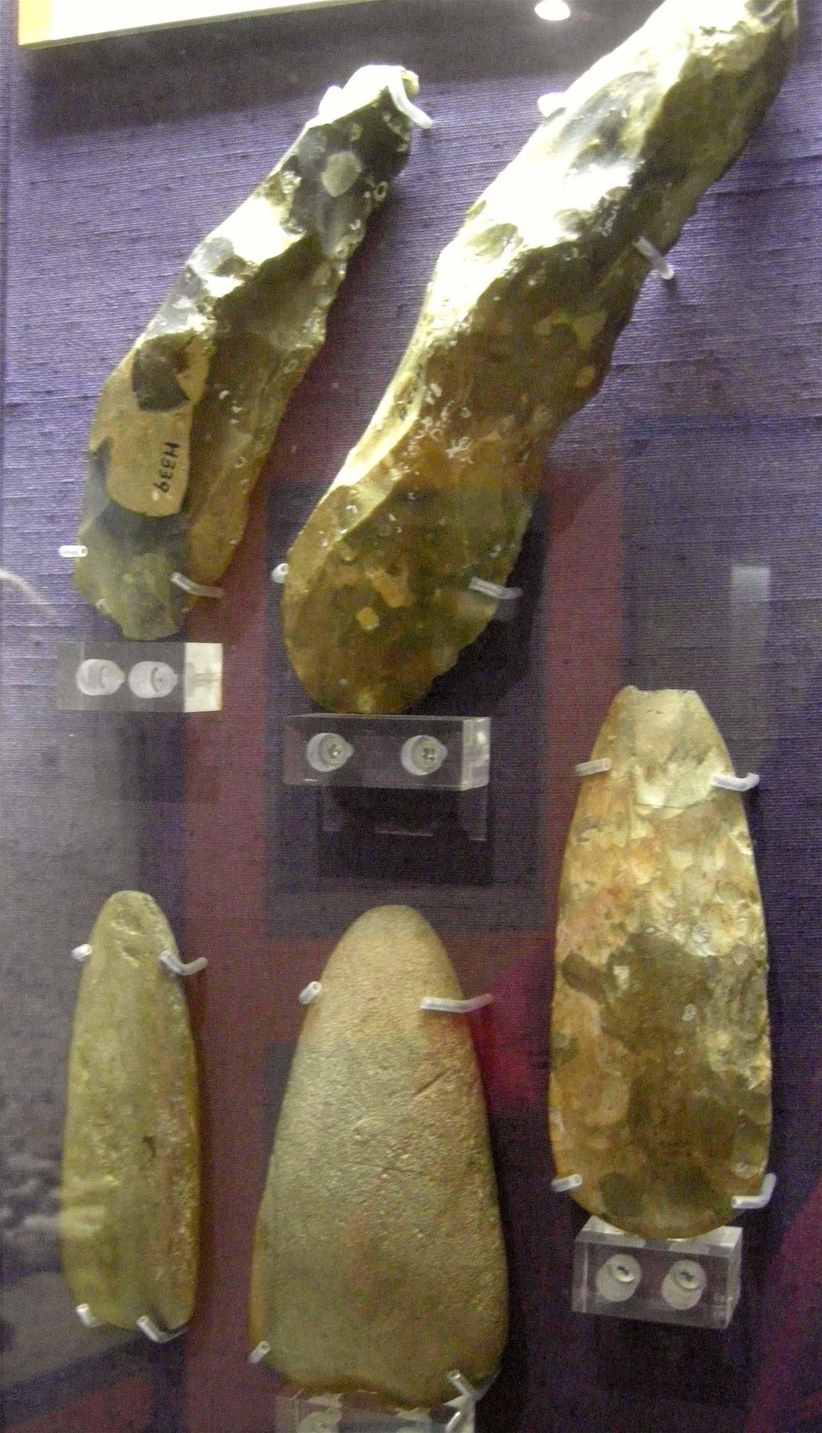 The Seaside Museum, Herne Bay