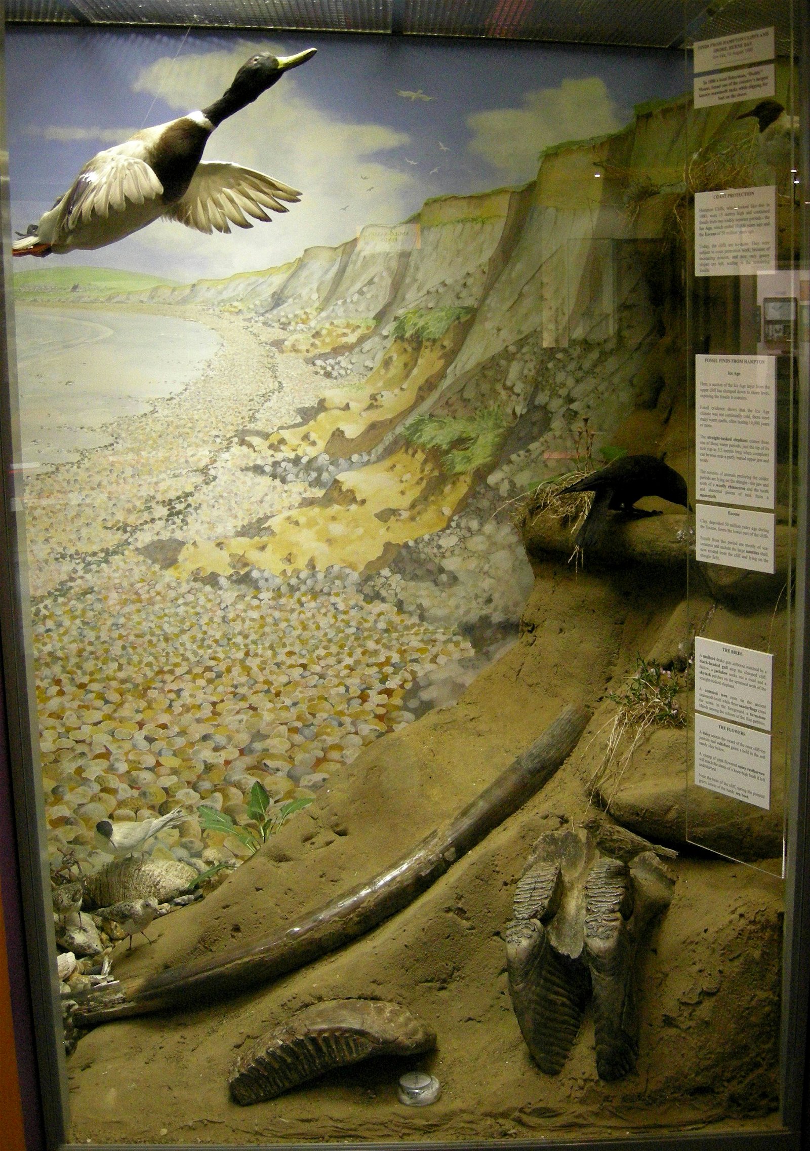 The Seaside Museum, Herne Bay