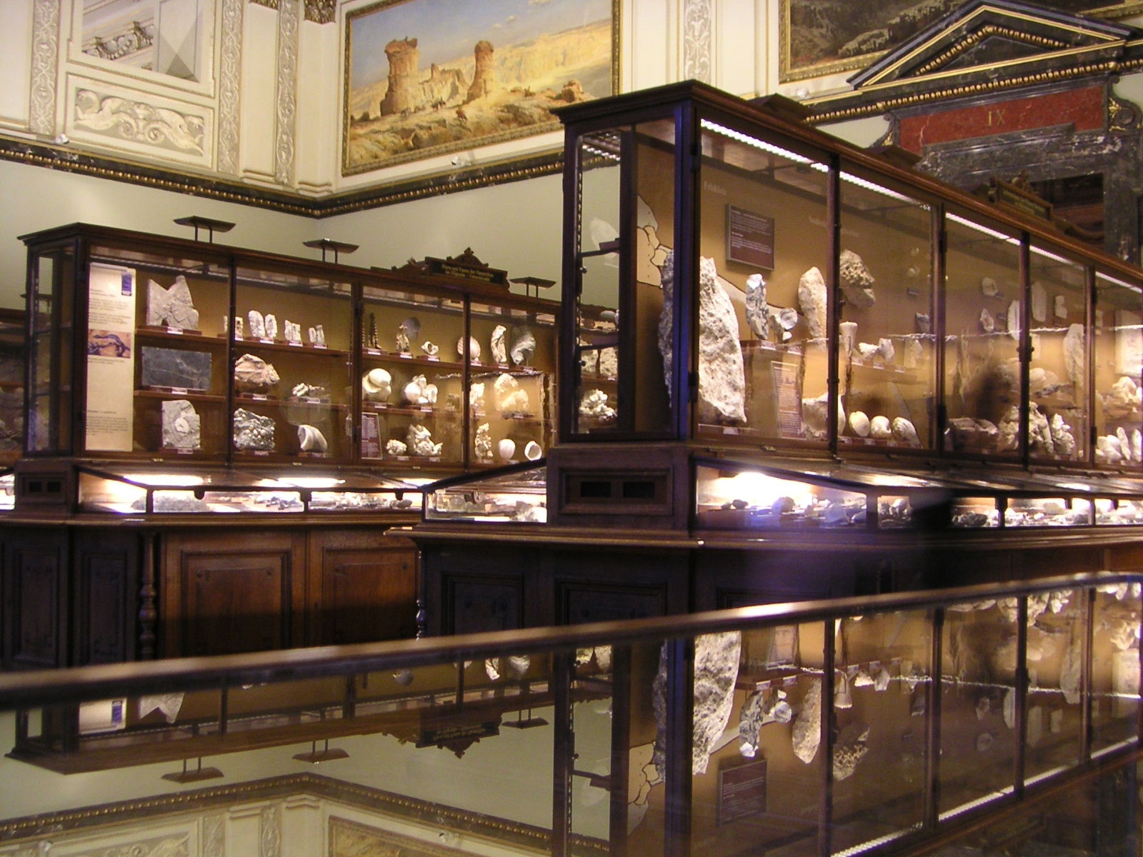 Natural History Museum