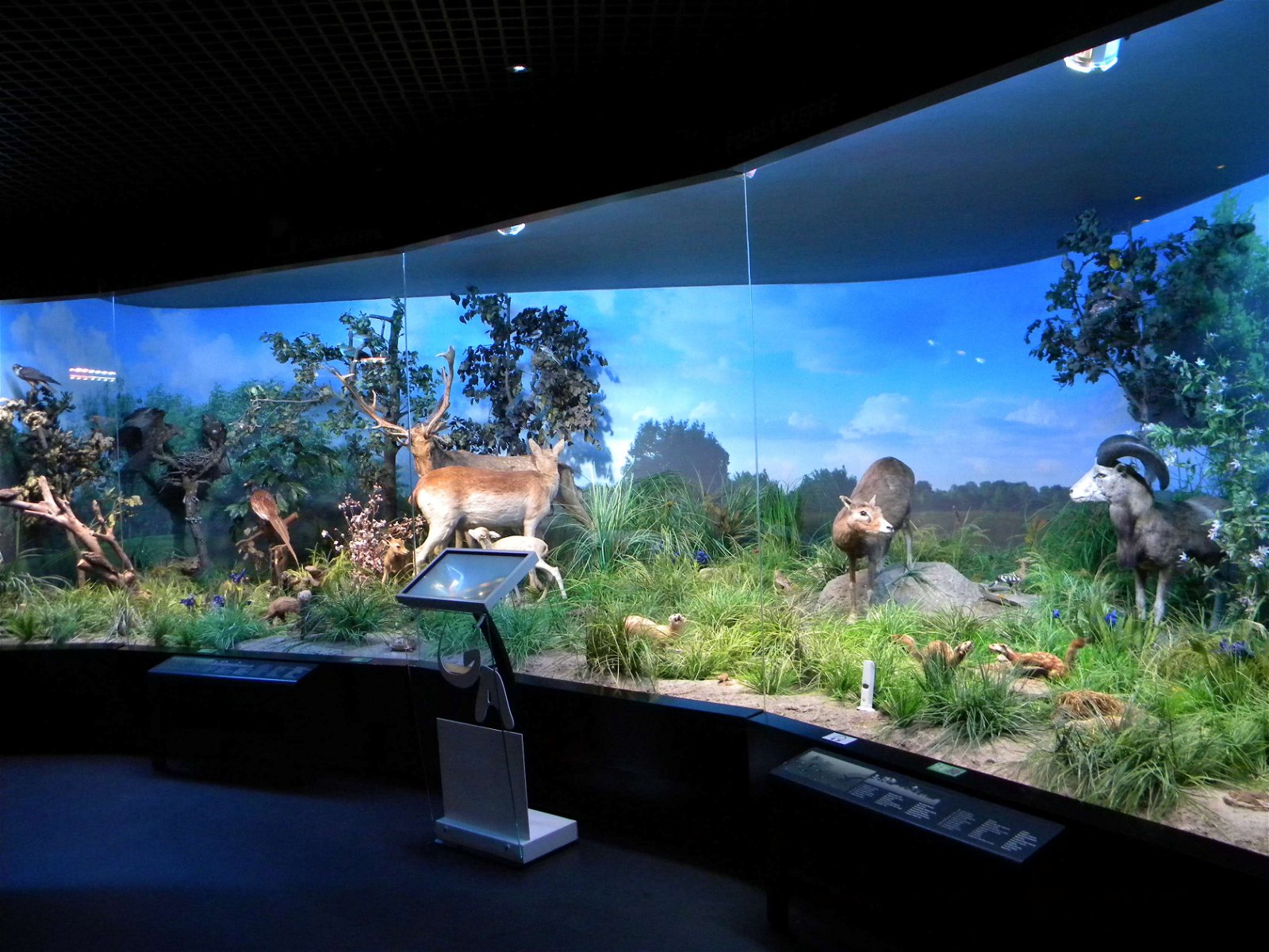 Grigore Antipa National Museum of Natural History