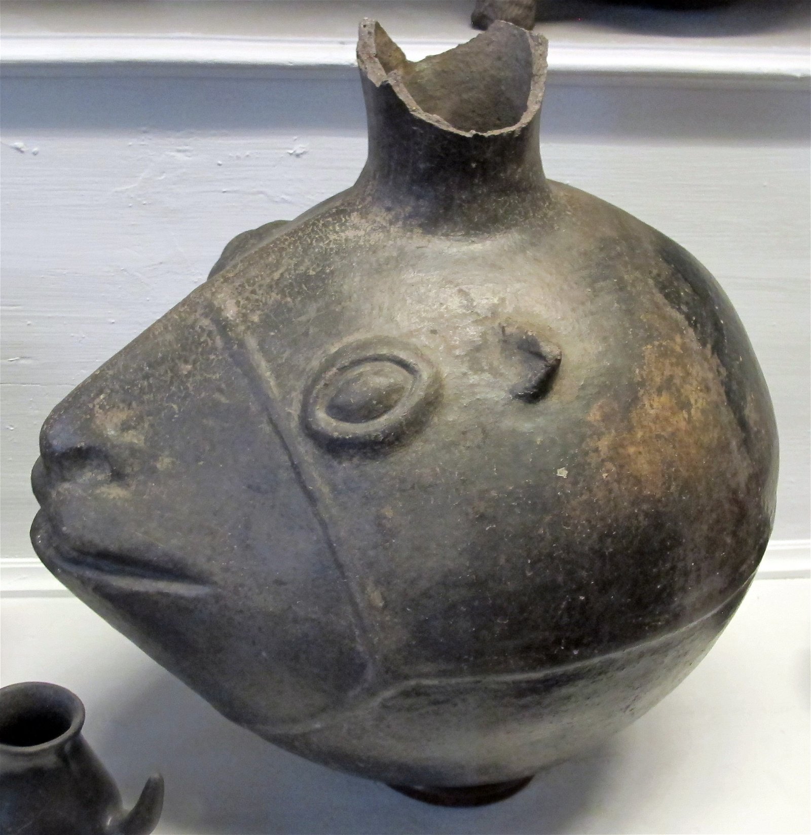 Museum of Anthropology and Ethnology