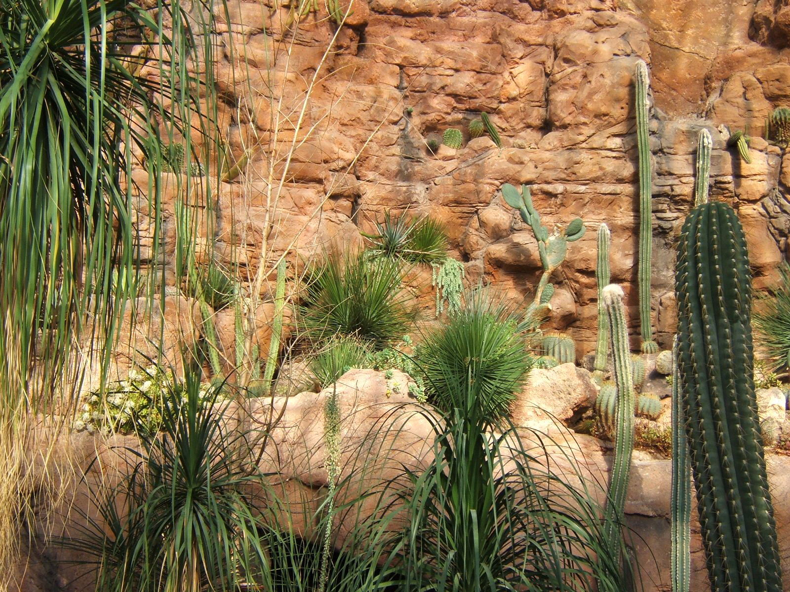 Schönbrunn Desert House