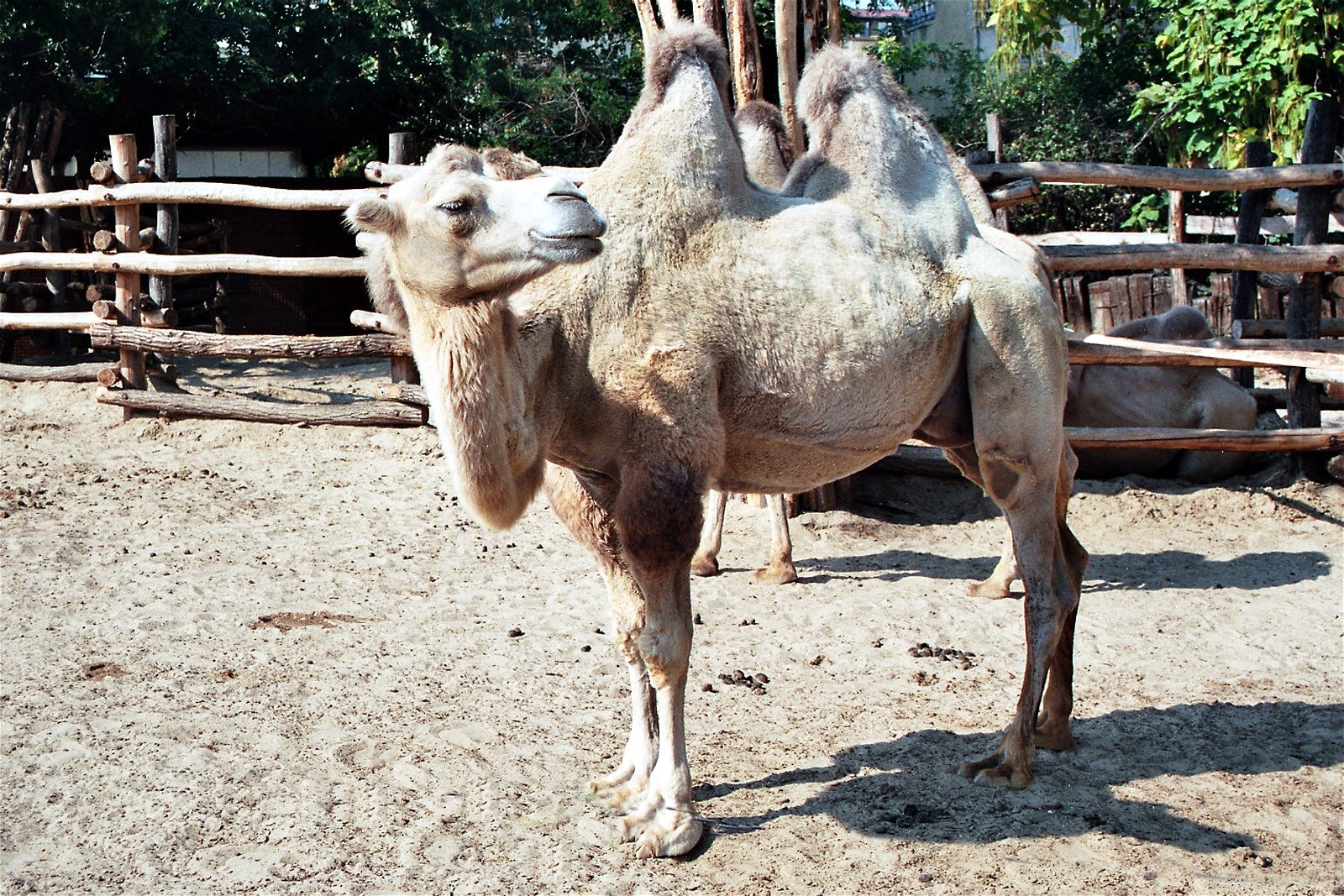 Budapest Zoo and Botanical Garden