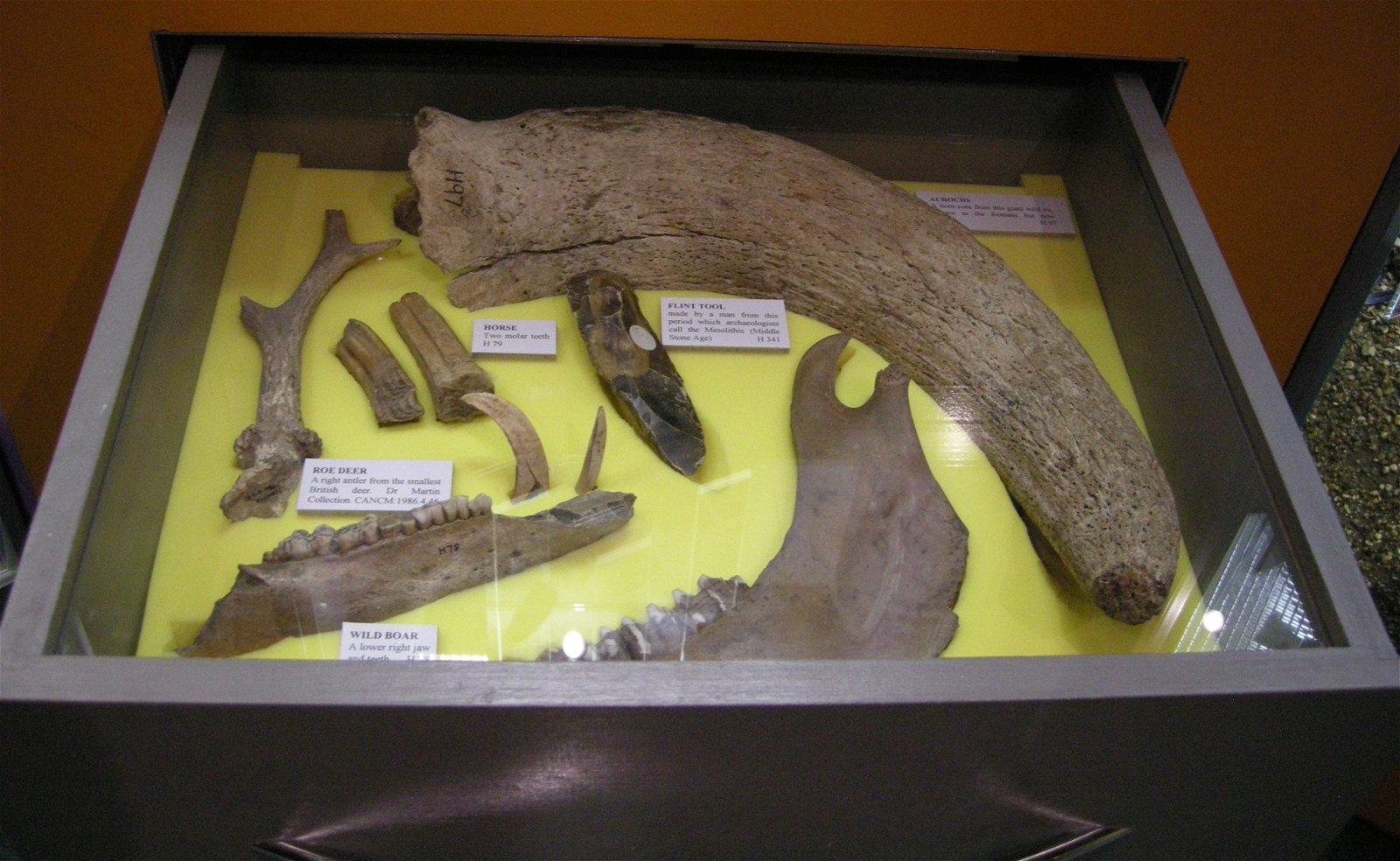 The Seaside Museum, Herne Bay