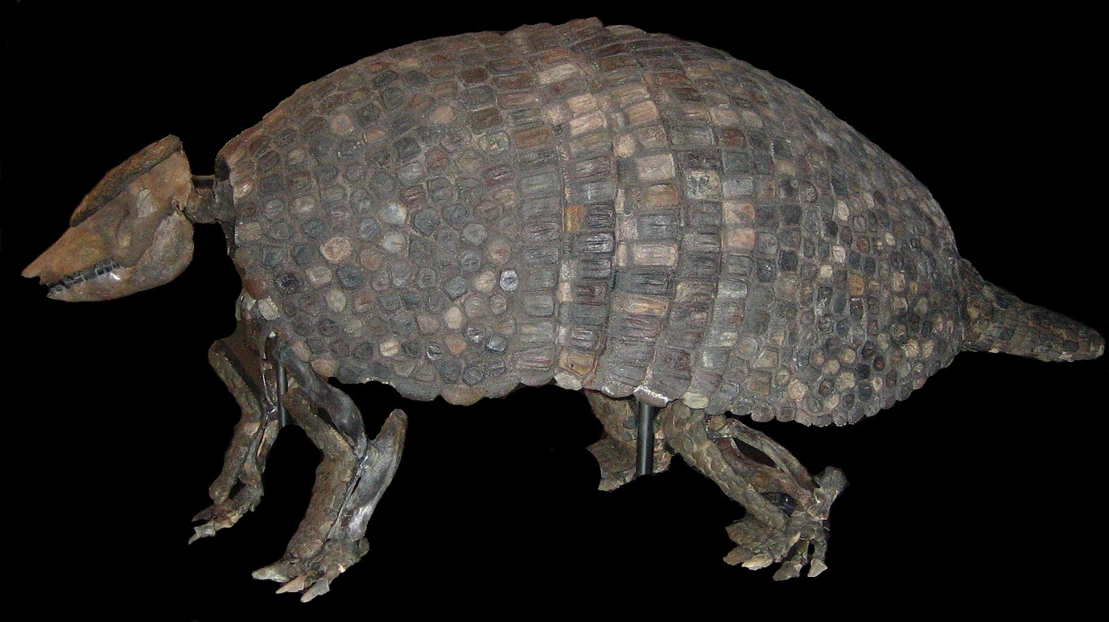 CosmoCaixa Barcelona