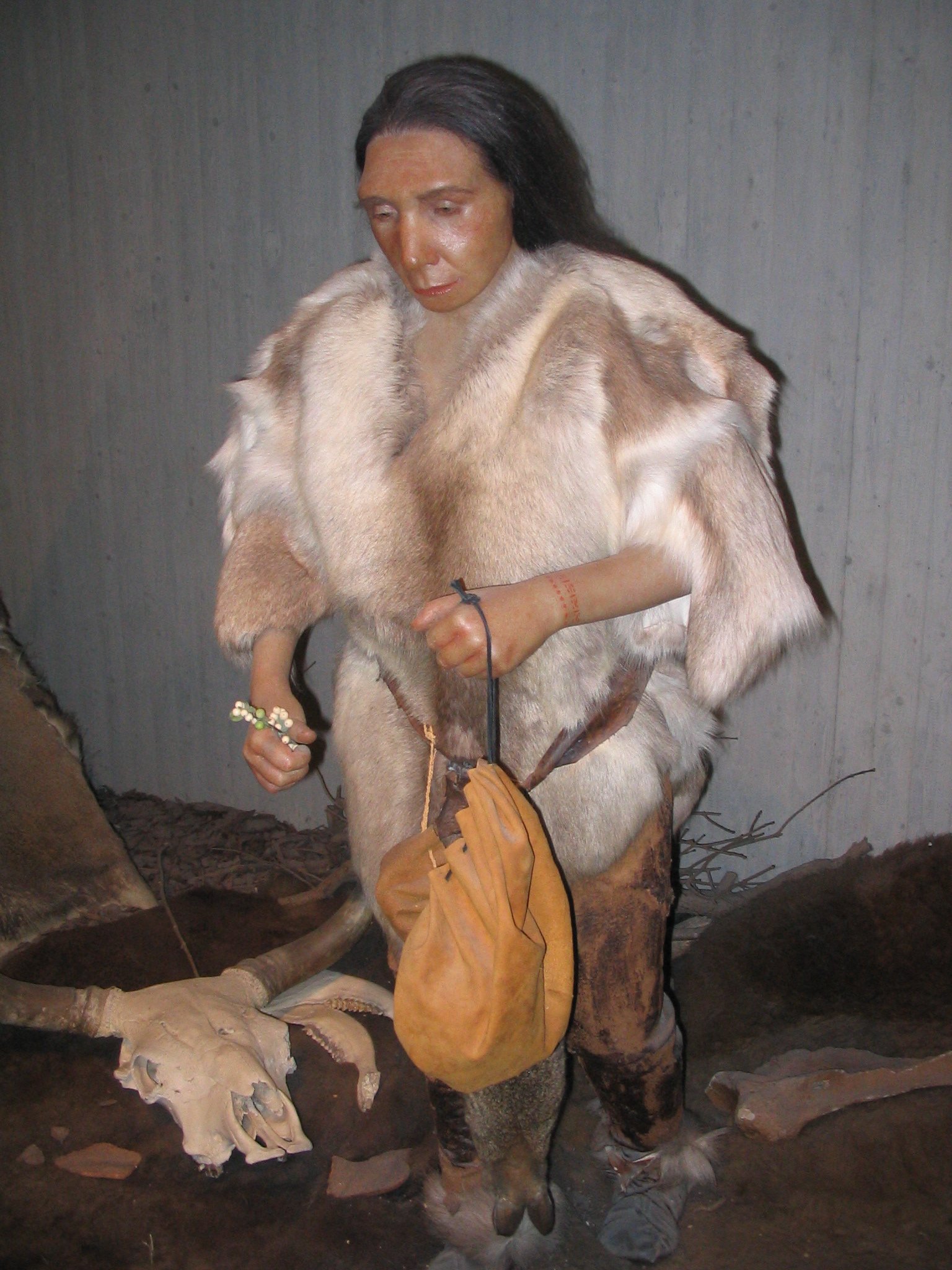 Neanderthal Museum