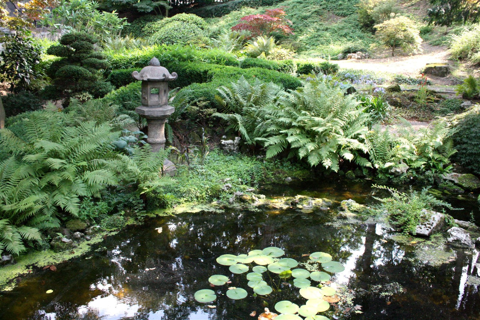 Museums of the Far East