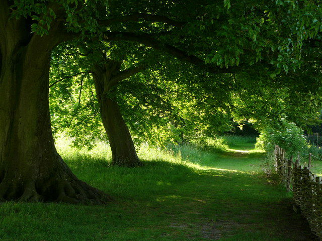 Weald and Downland Living Museum