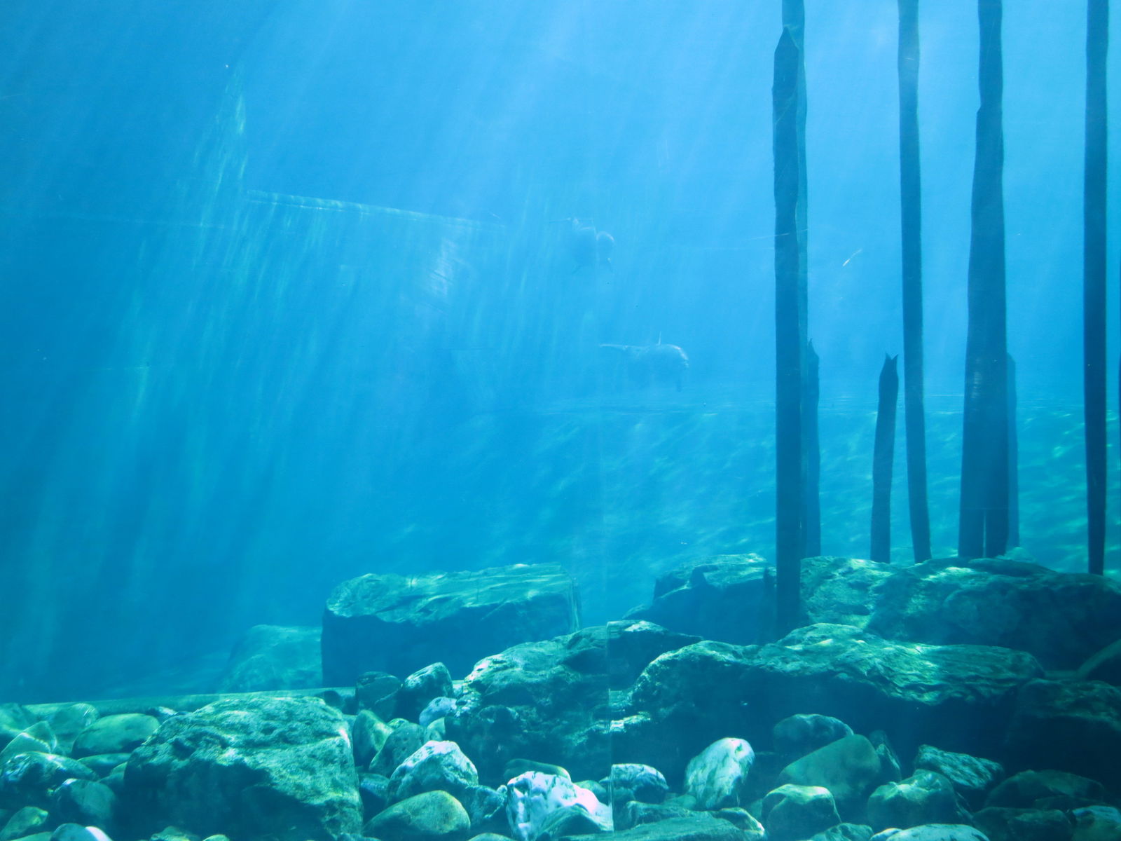 Tiergarten Nürnberg