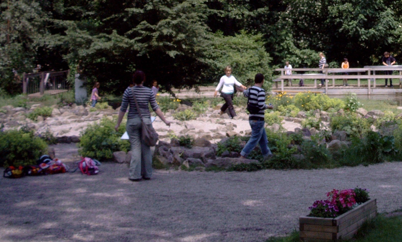 Phanomania Erfahrungsfeld