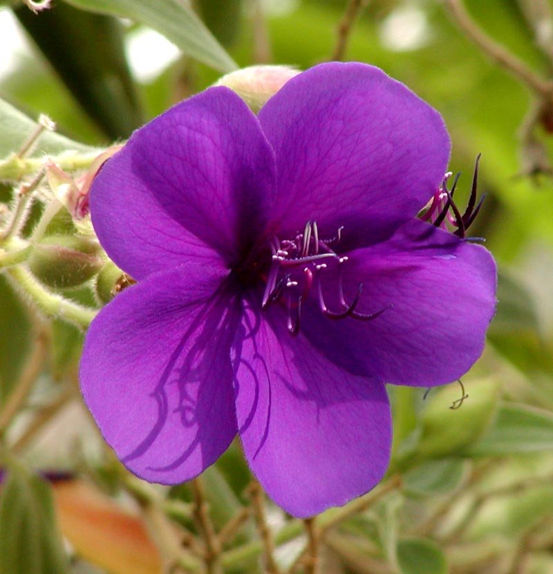 Aarhus Botanical Gardens