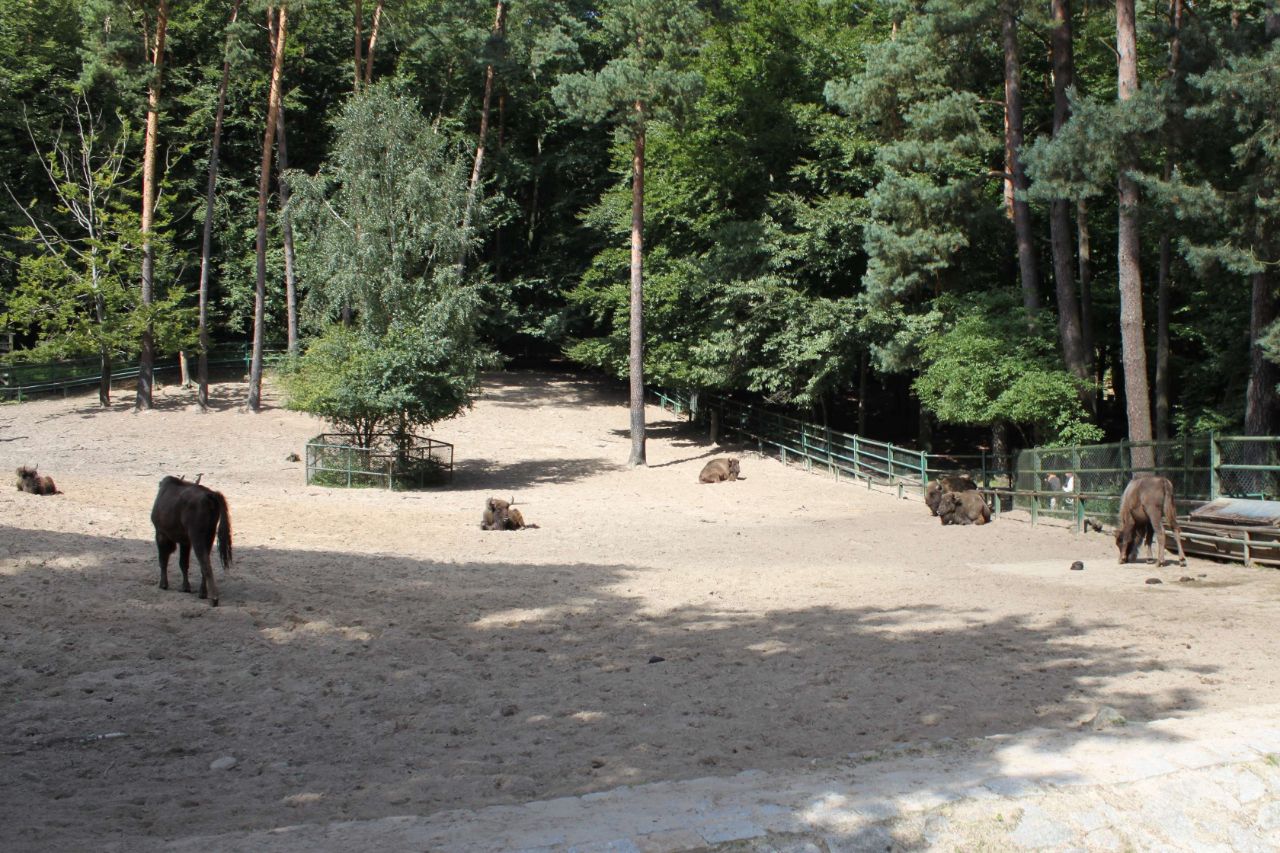 Oliwa Zoo Gdańsk (Gdańsk) - Visitor Information & Reviews