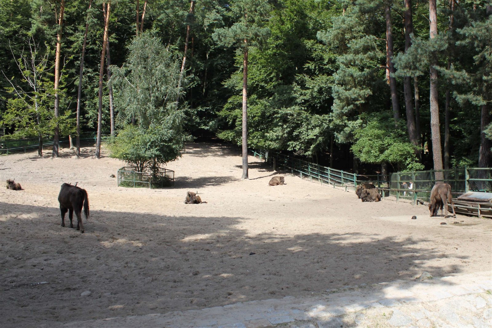 Oliwa Zoo Gdańsk