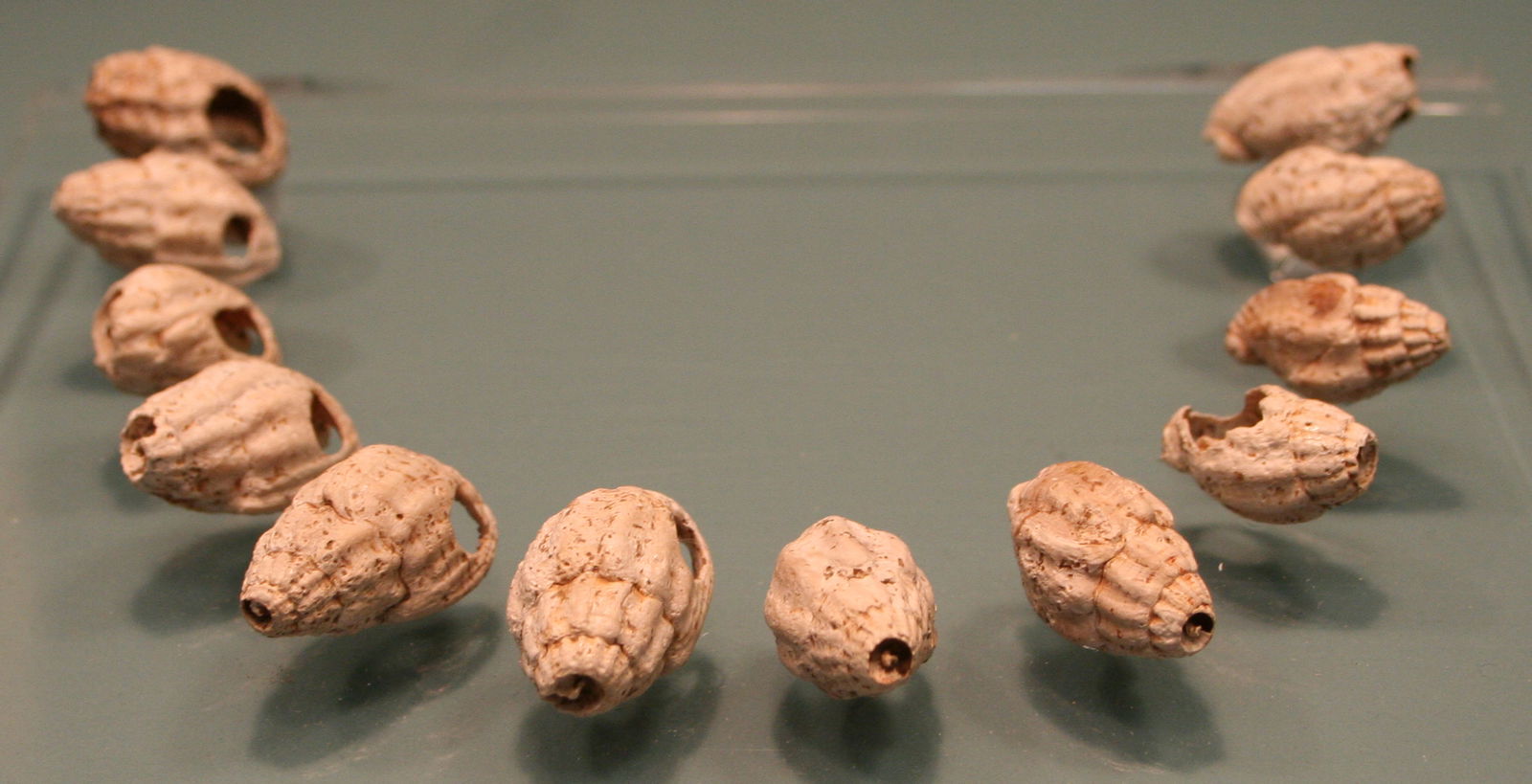 Museum für Vor- und Frühgeschichte