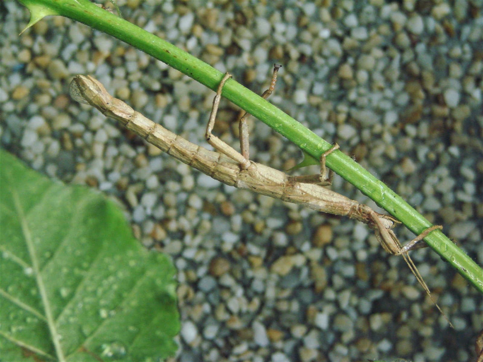 Wroclaw Zoo & Africarium