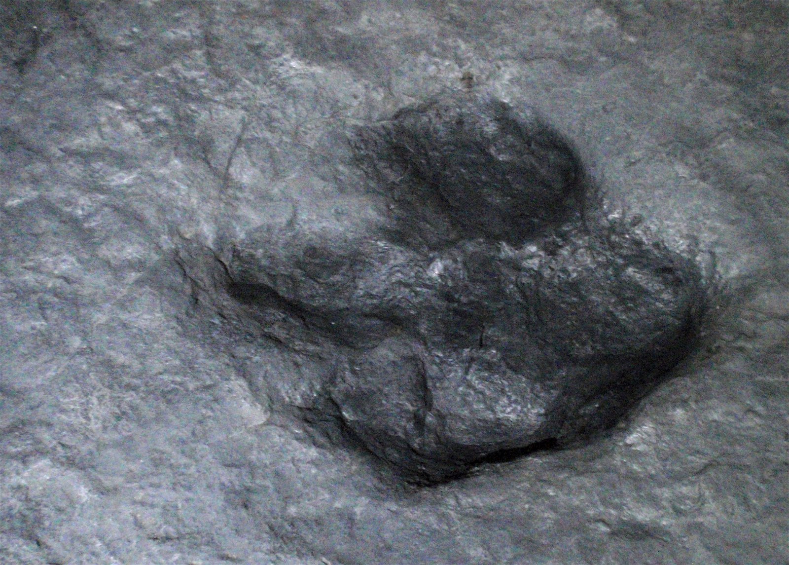 Museo Elder de la Ciencia y la Tecnología