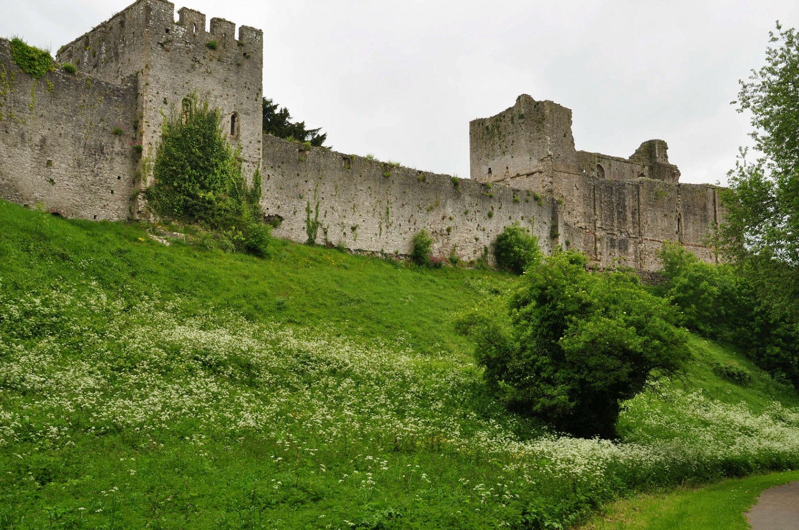 Chepstow Castle