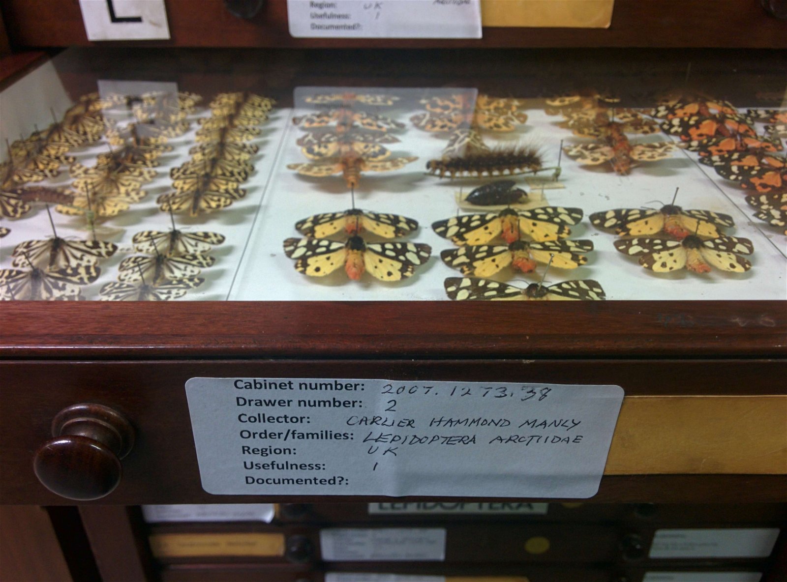 Museum Collections Centre