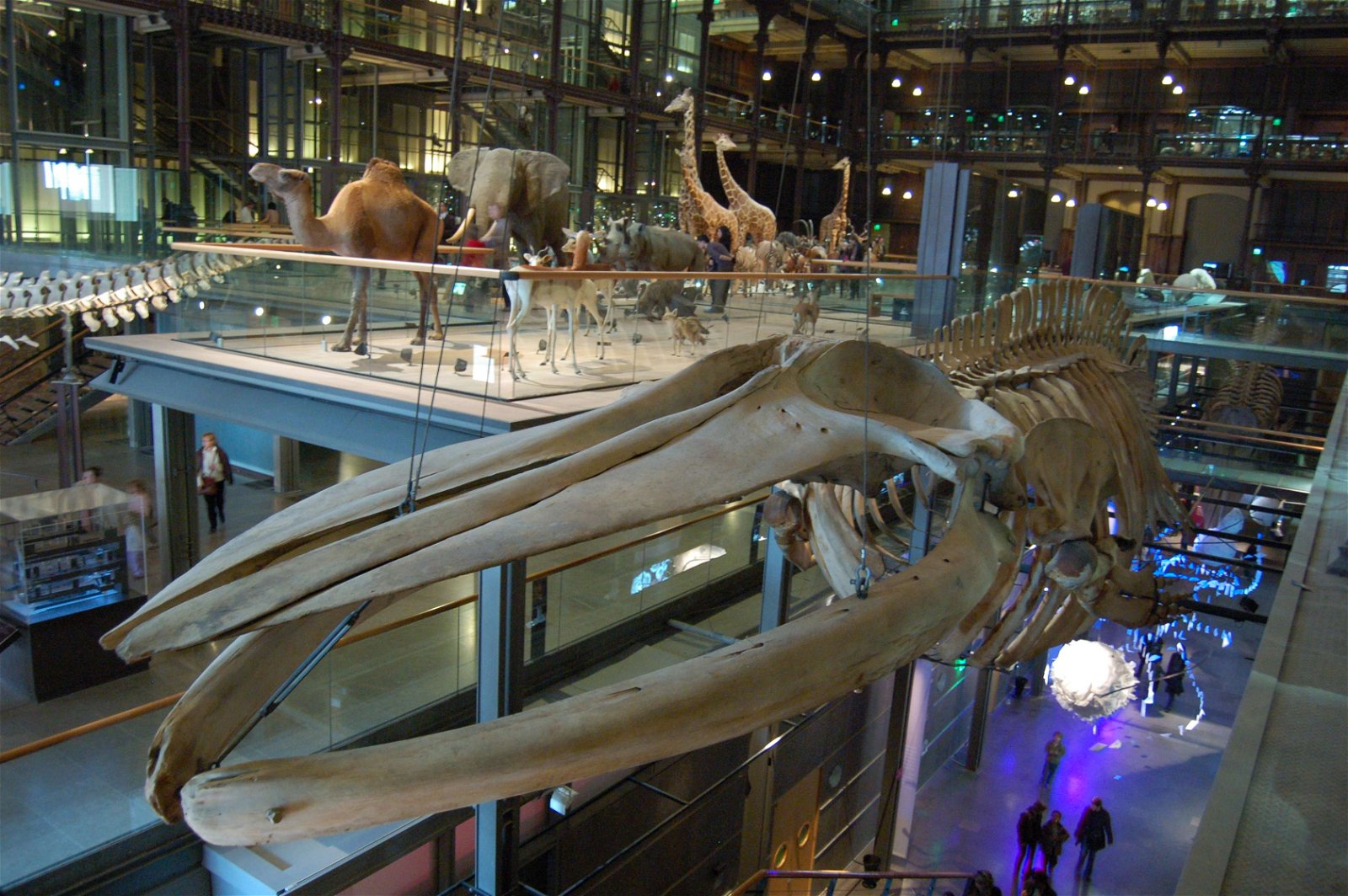 Grande Galerie de l'Evolution