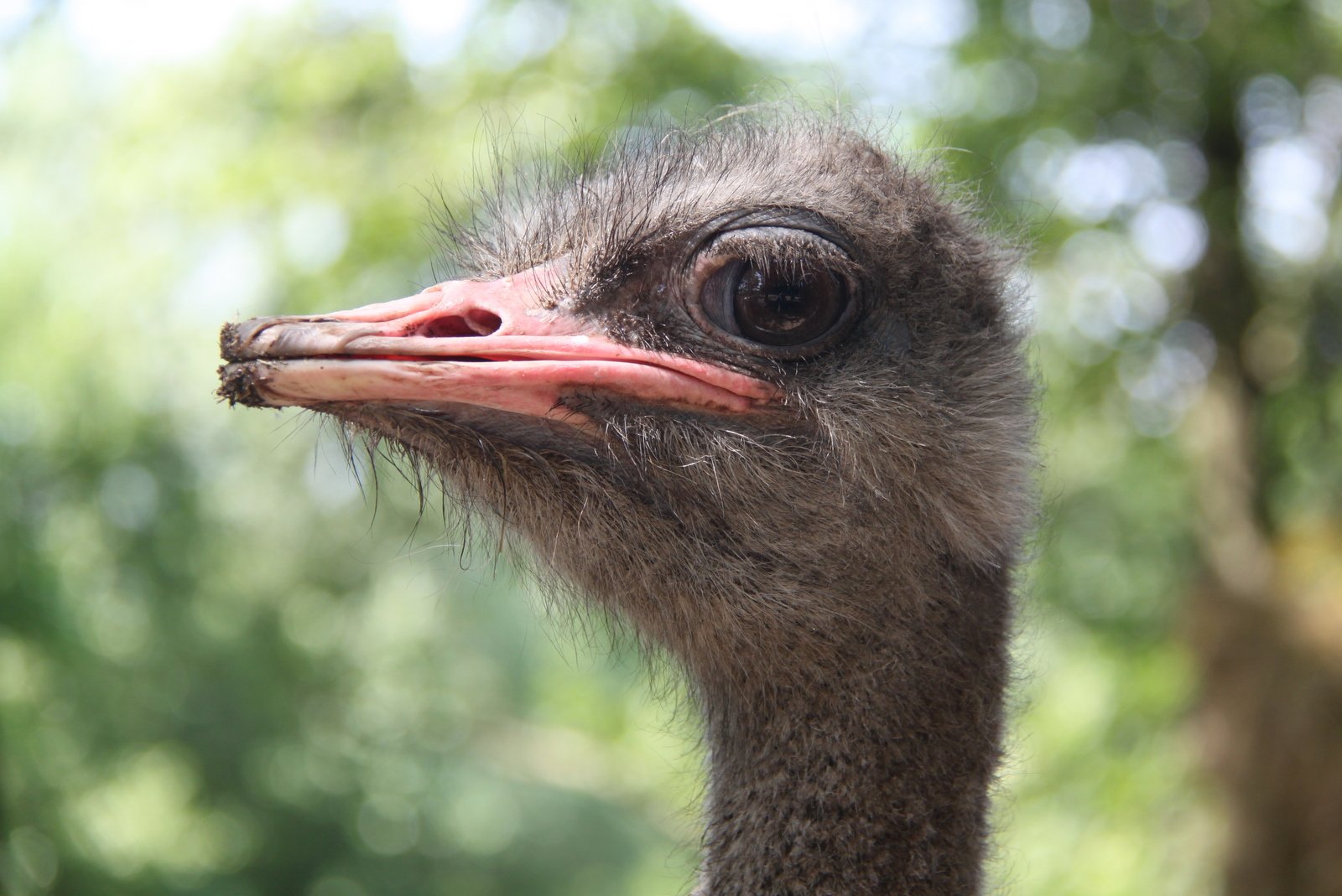 Familiepark Harry Malter