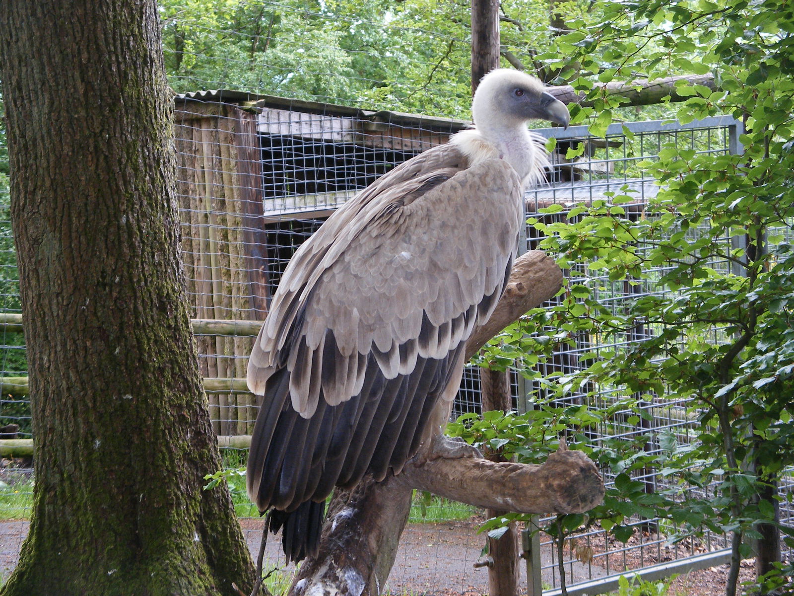 Bouillon Wildlife Park