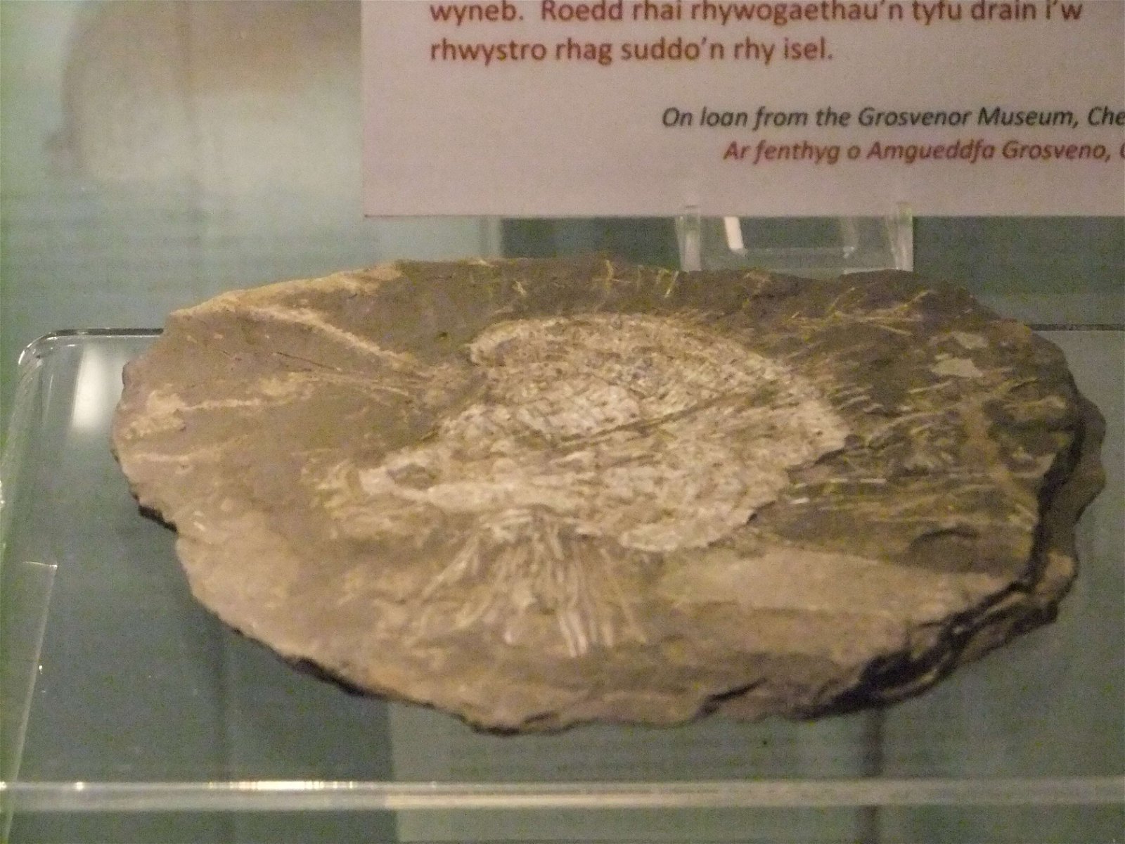 Wrexham County Borough Museum and Archives