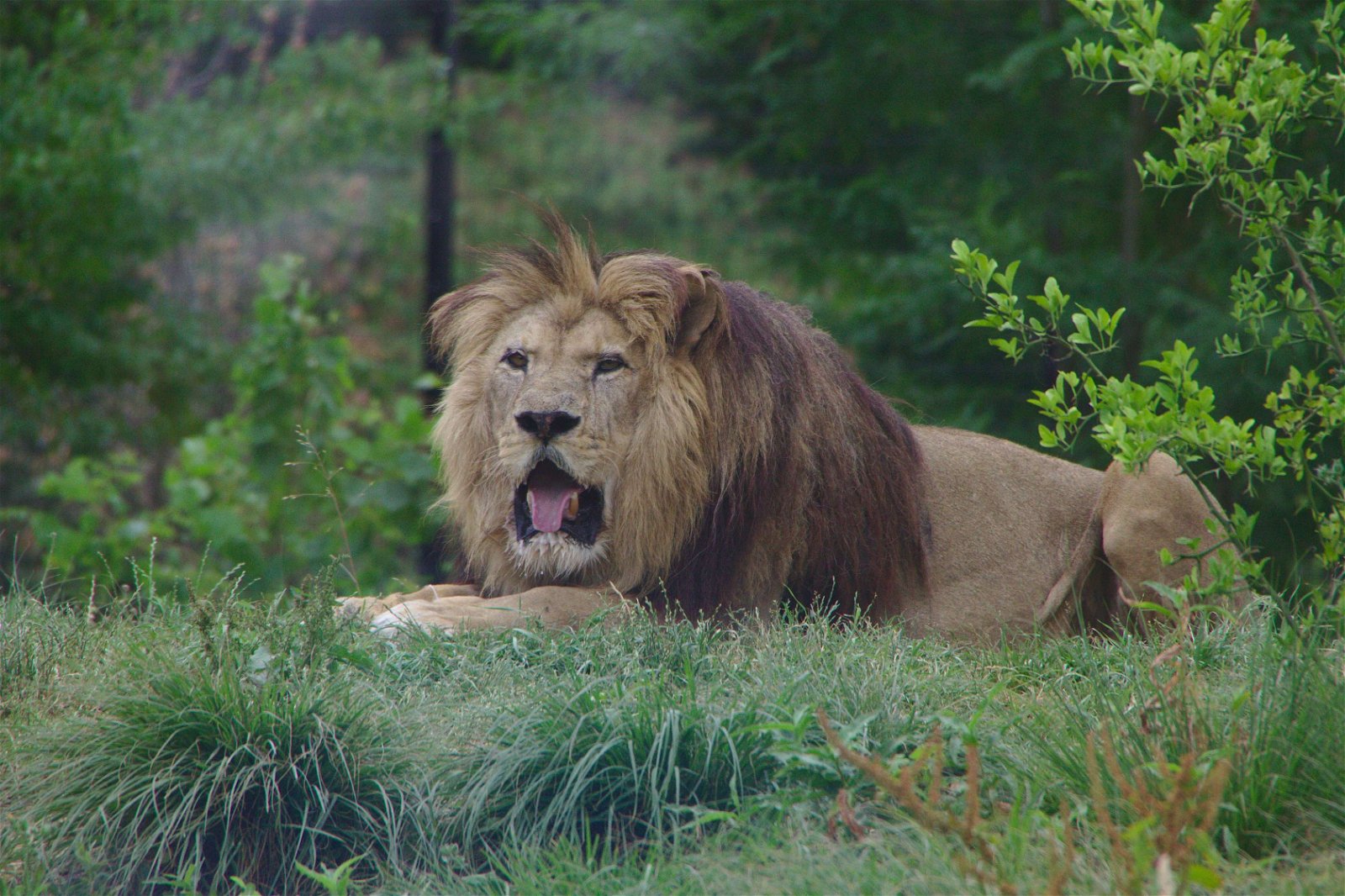 Parc zoologique de Paris