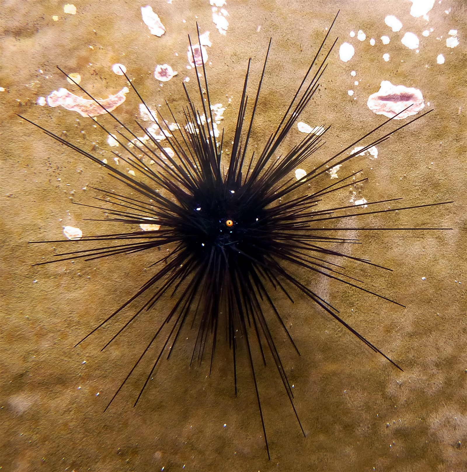 Aquazoo – Löbbecke-Museum Düsseldorf
