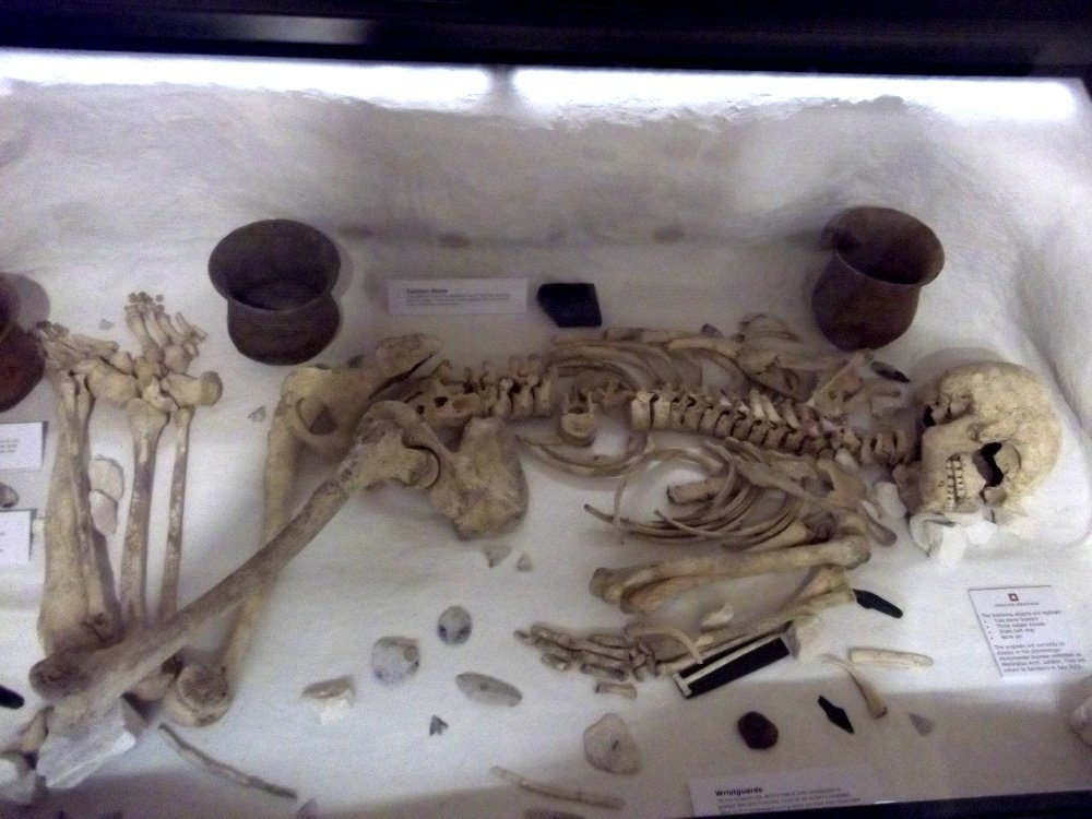 The Salisbury Museum