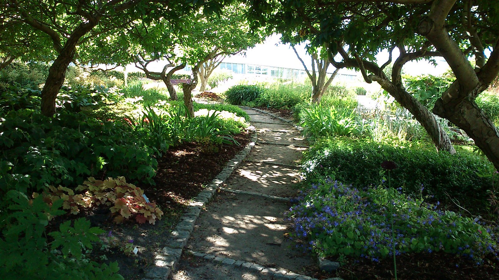 Aarhus Botanical Gardens