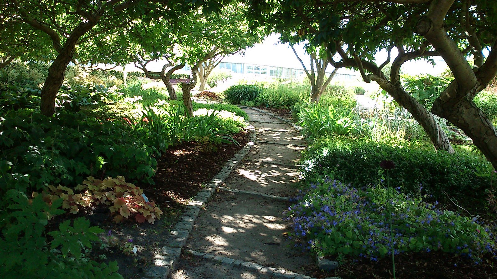 Aarhus Botanical Gardens