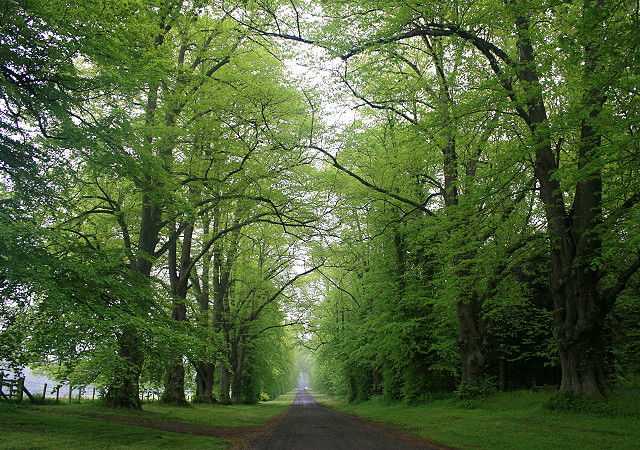 Castello di Chillingham