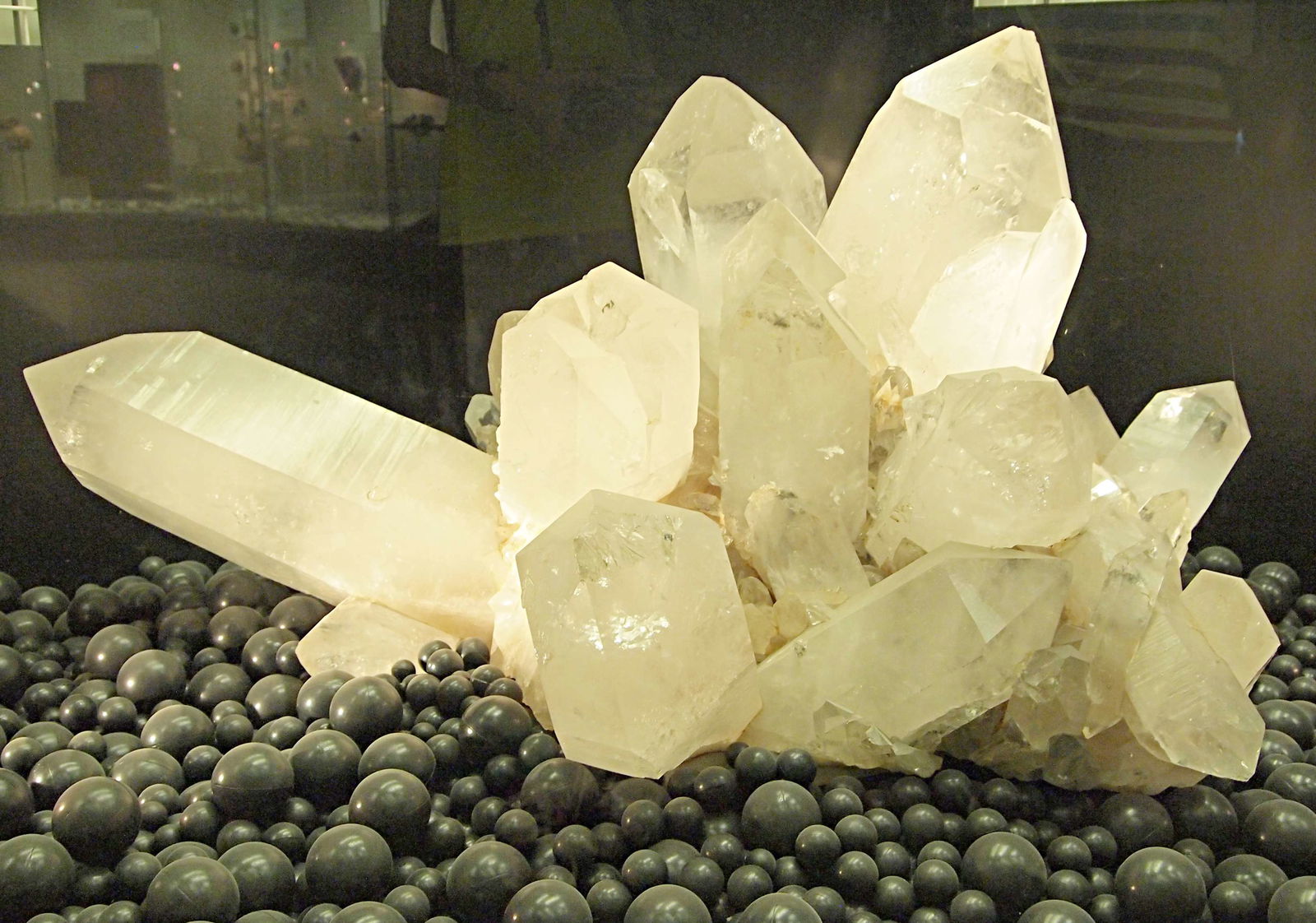 Museum Mensch und Natur