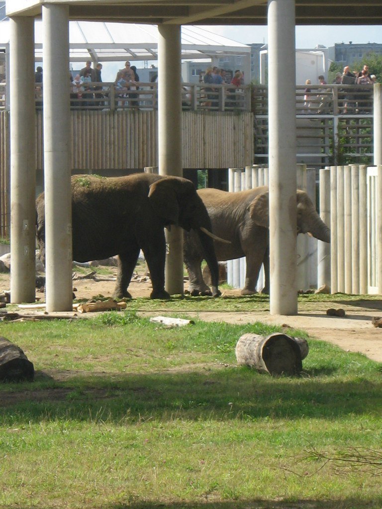 Tallinn Zoo
