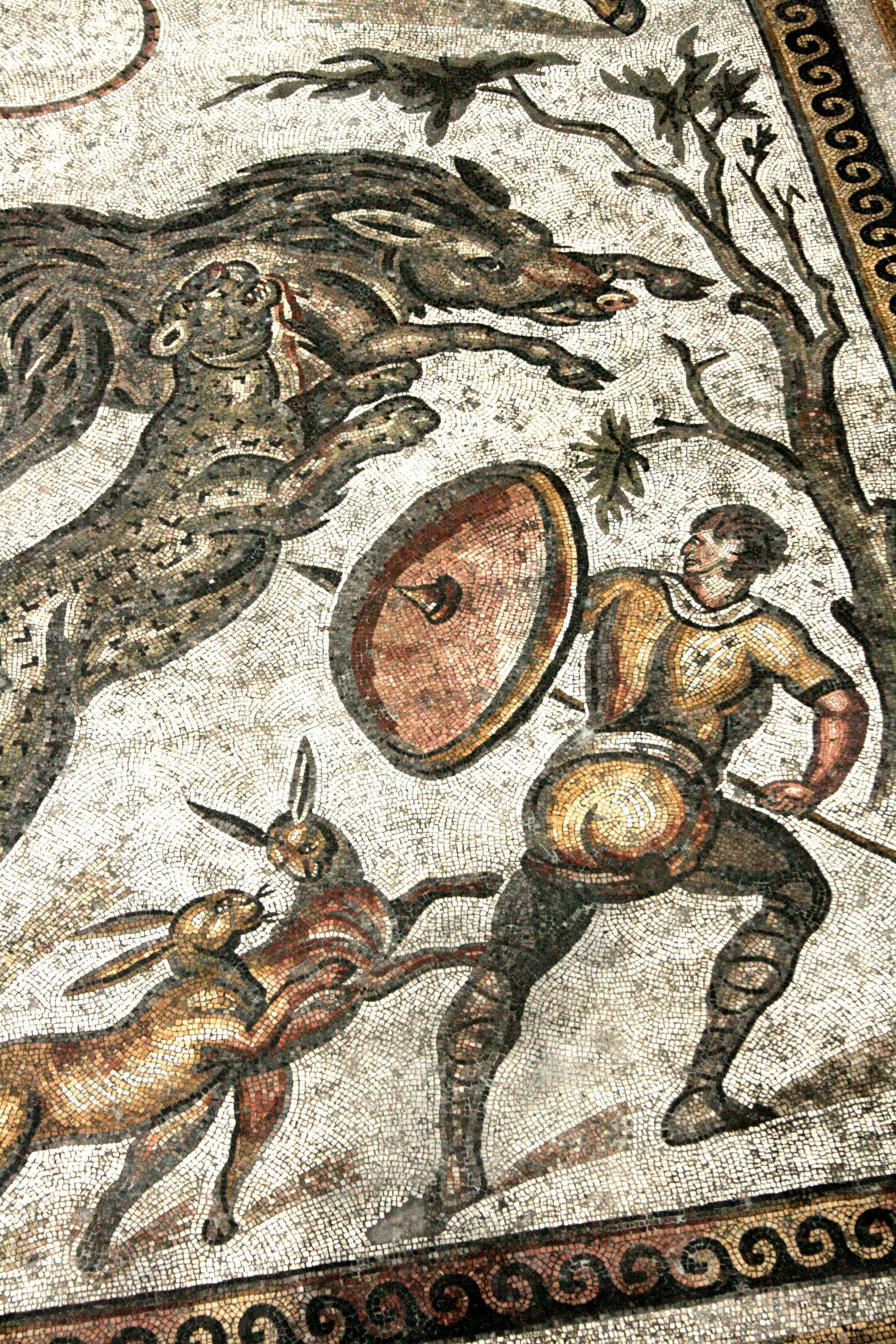 Art & History Museum