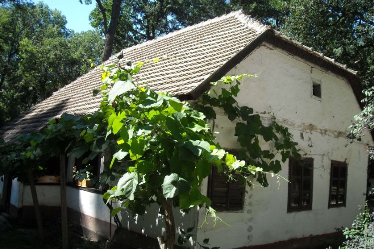 Banat Village Museum
