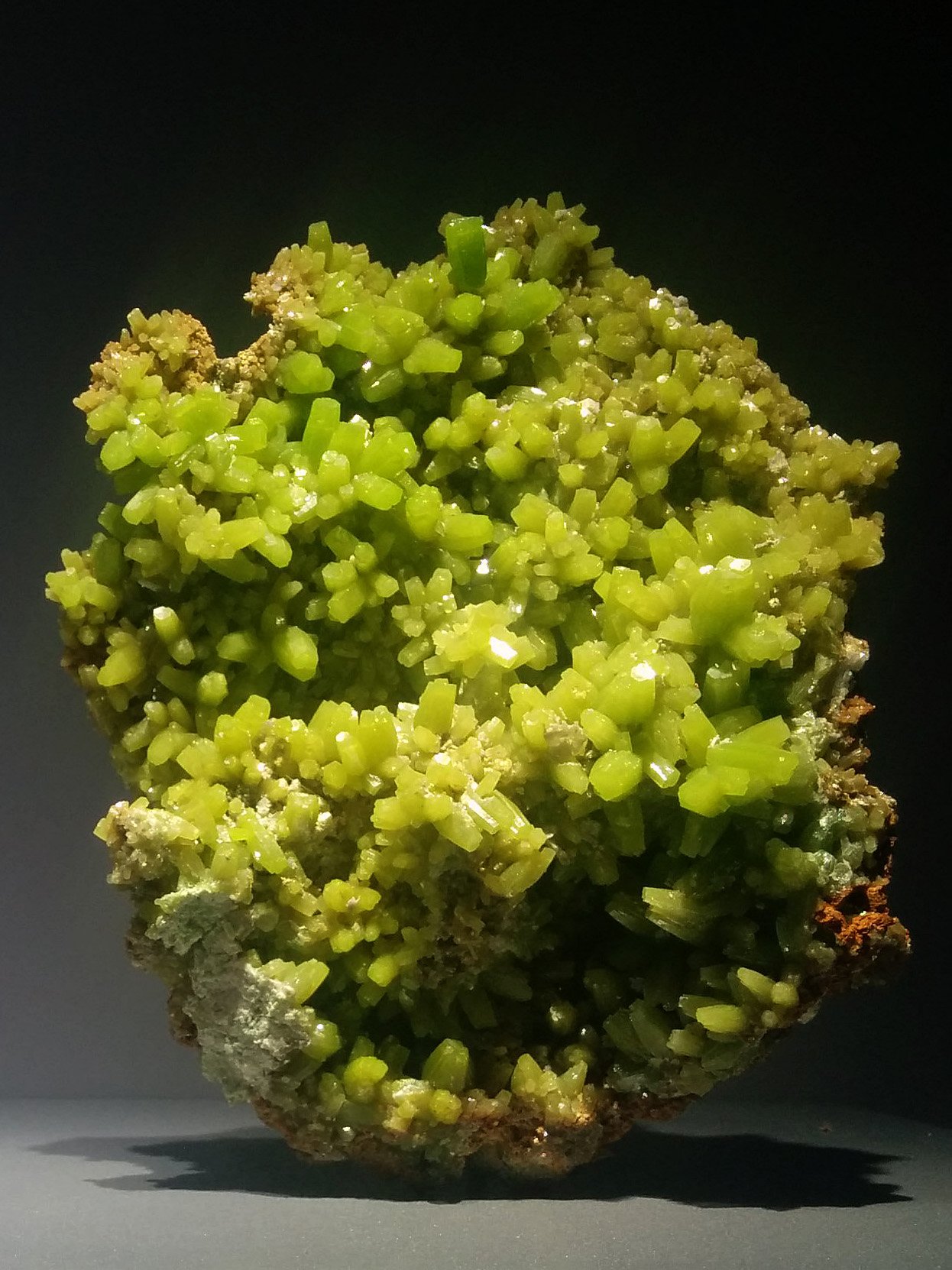 Gallery of Mineralogy and Geology