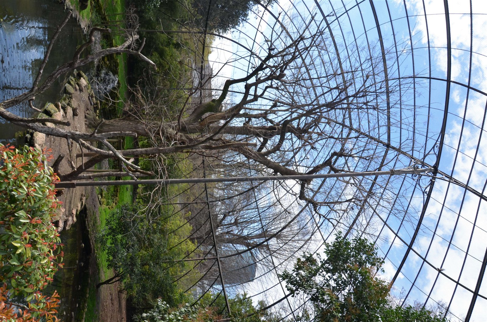 Ménagerie du Jardin des Plantes