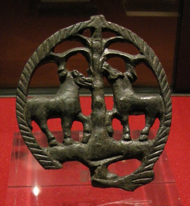 Museo Civico Medievale